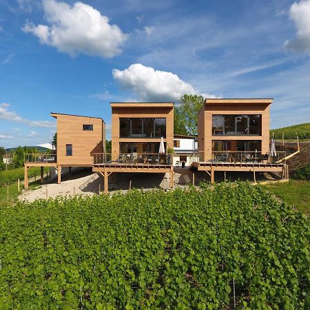 Cottages Antoinette Chigny-les-Roses Екстериор снимка