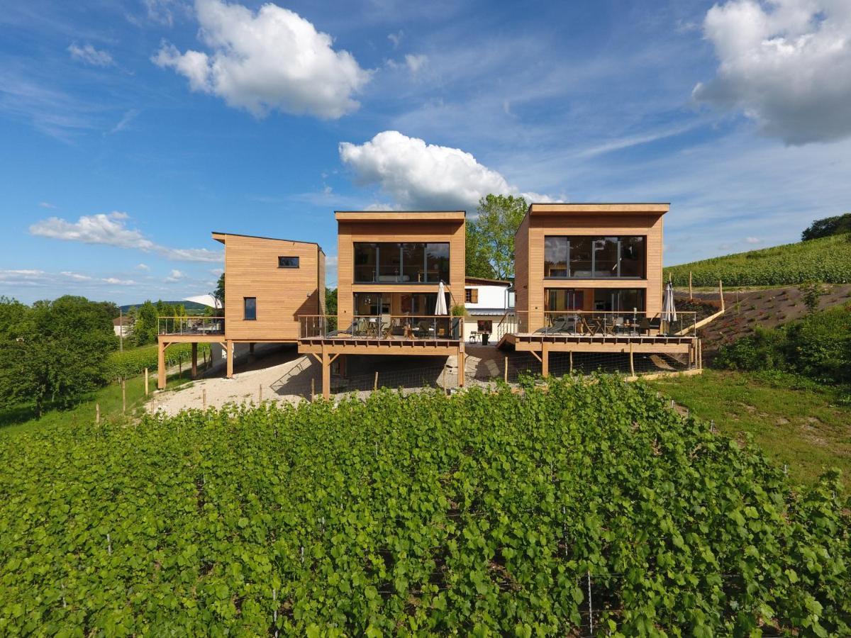 Cottages Antoinette Chigny-les-Roses Екстериор снимка