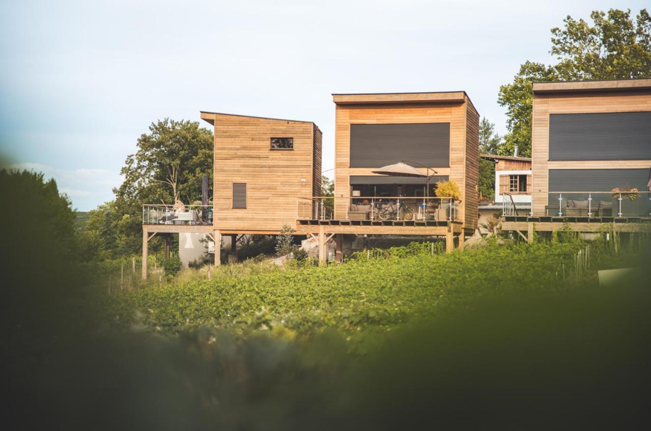 Cottages Antoinette Chigny-les-Roses Екстериор снимка