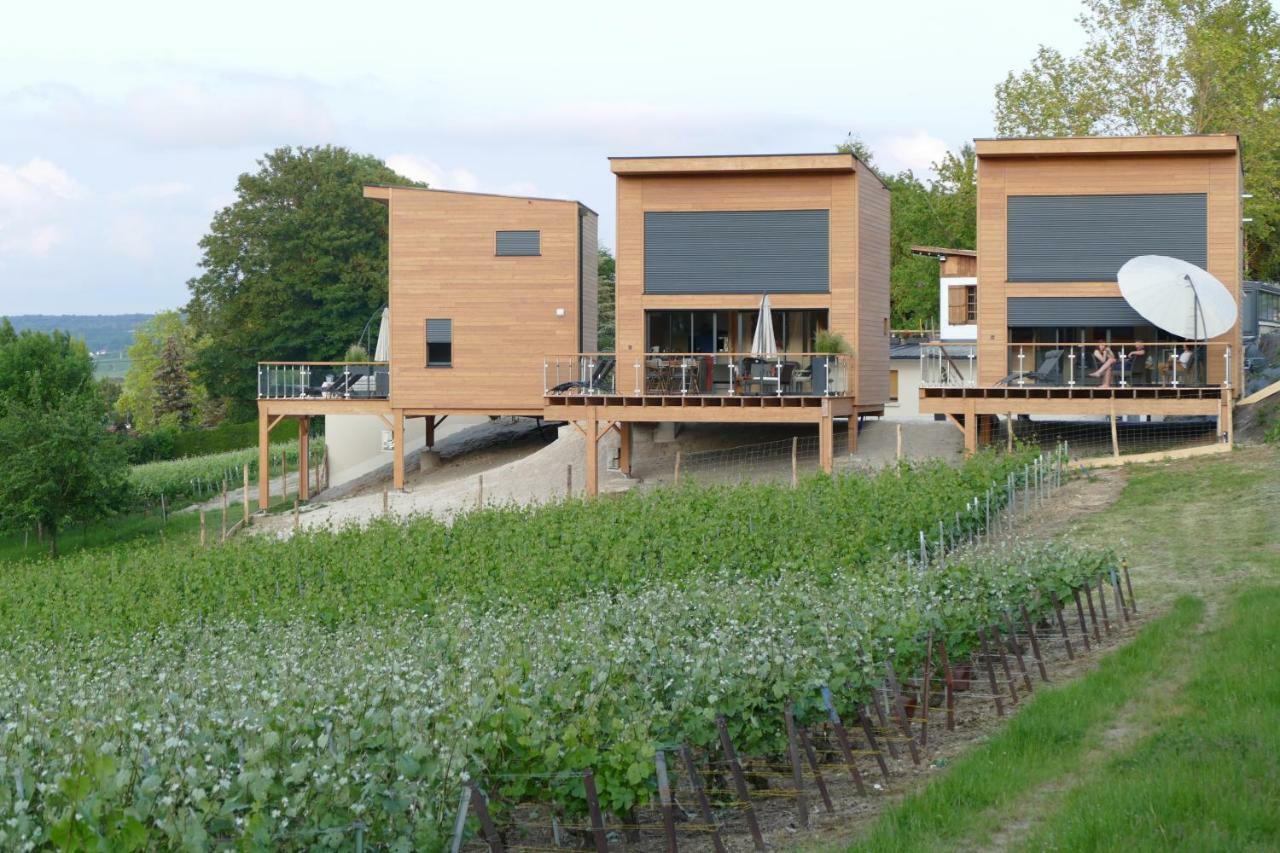 Cottages Antoinette Chigny-les-Roses Екстериор снимка