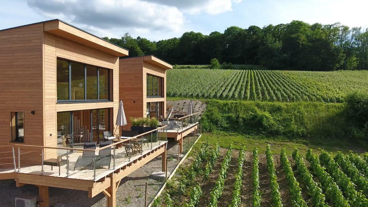 Cottages Antoinette Chigny-les-Roses Екстериор снимка