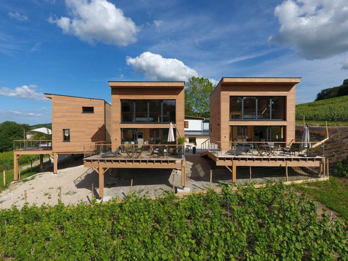 Cottages Antoinette Chigny-les-Roses Екстериор снимка