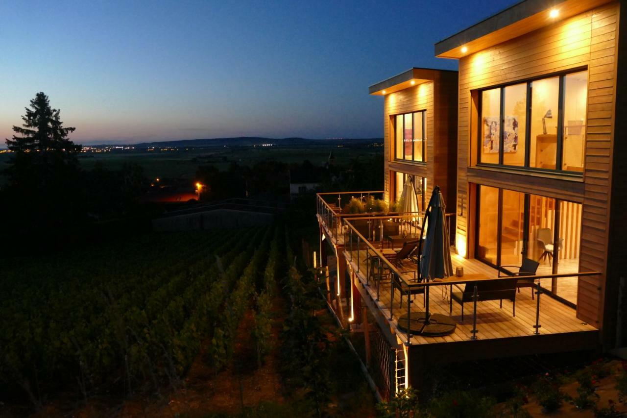 Cottages Antoinette Chigny-les-Roses Екстериор снимка